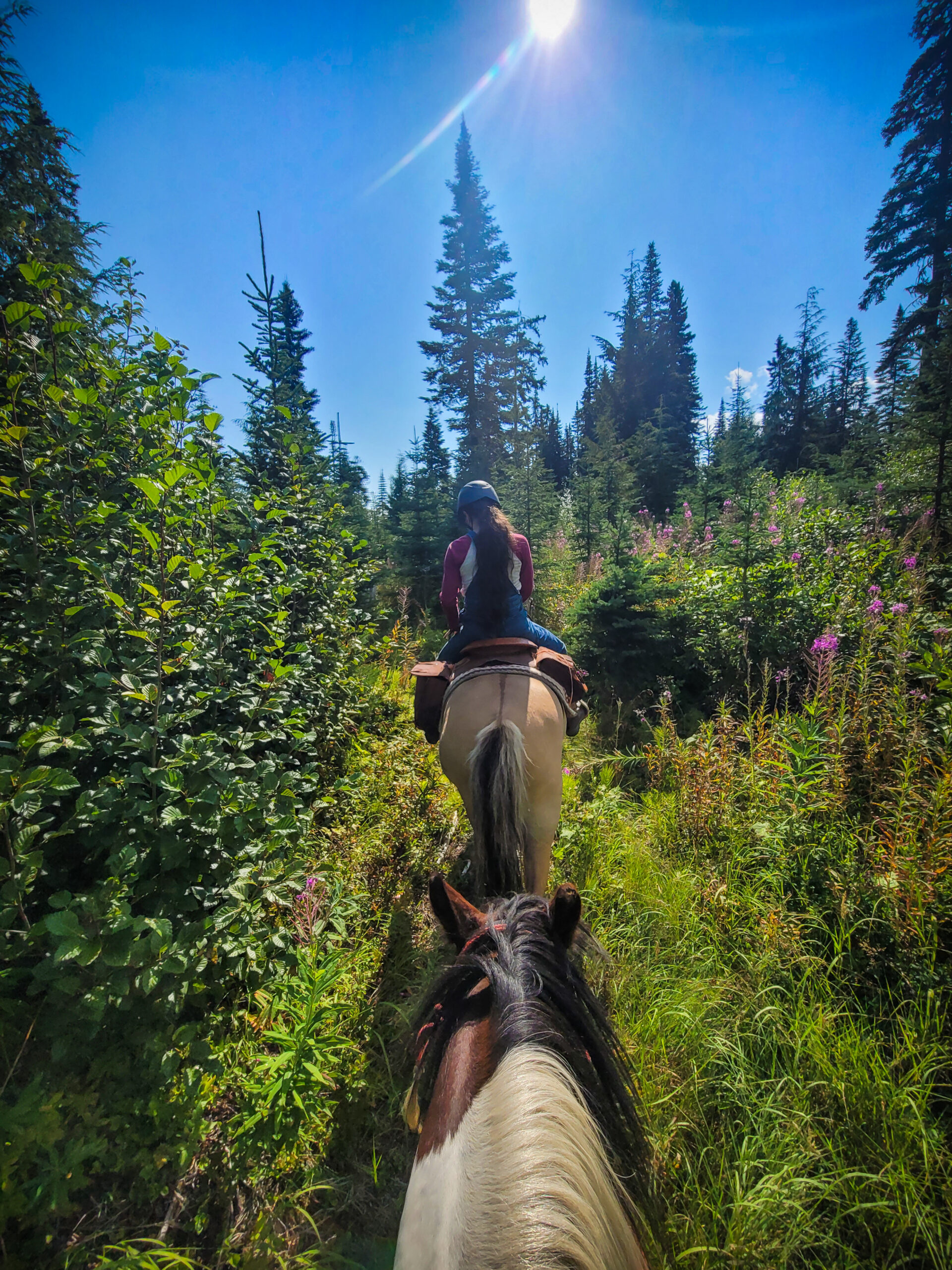 20240810_103524 AJ Bridges