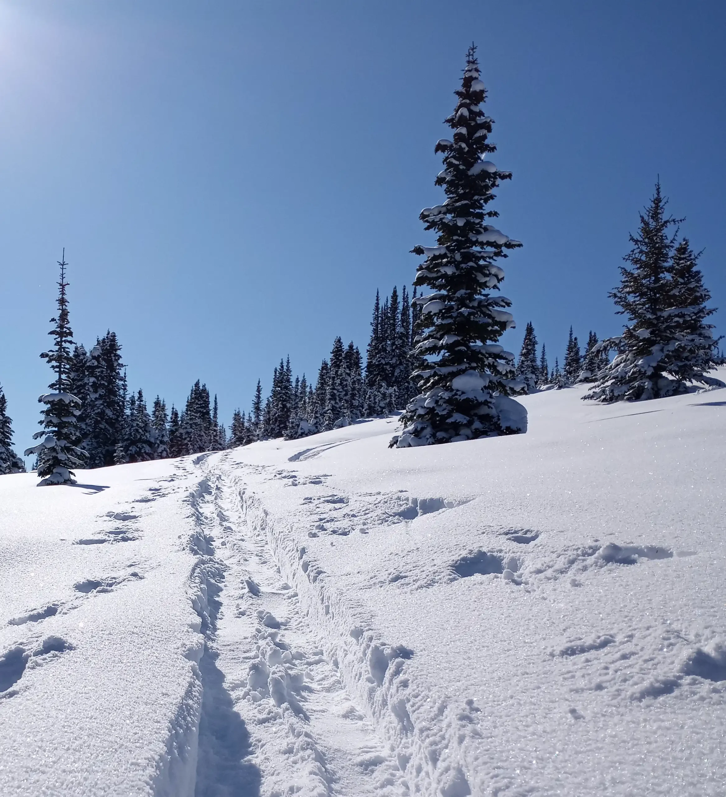 Back-Country-Skiing-Bell-McBride