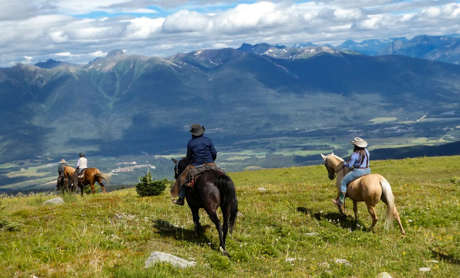 Belle Mountain Horses
