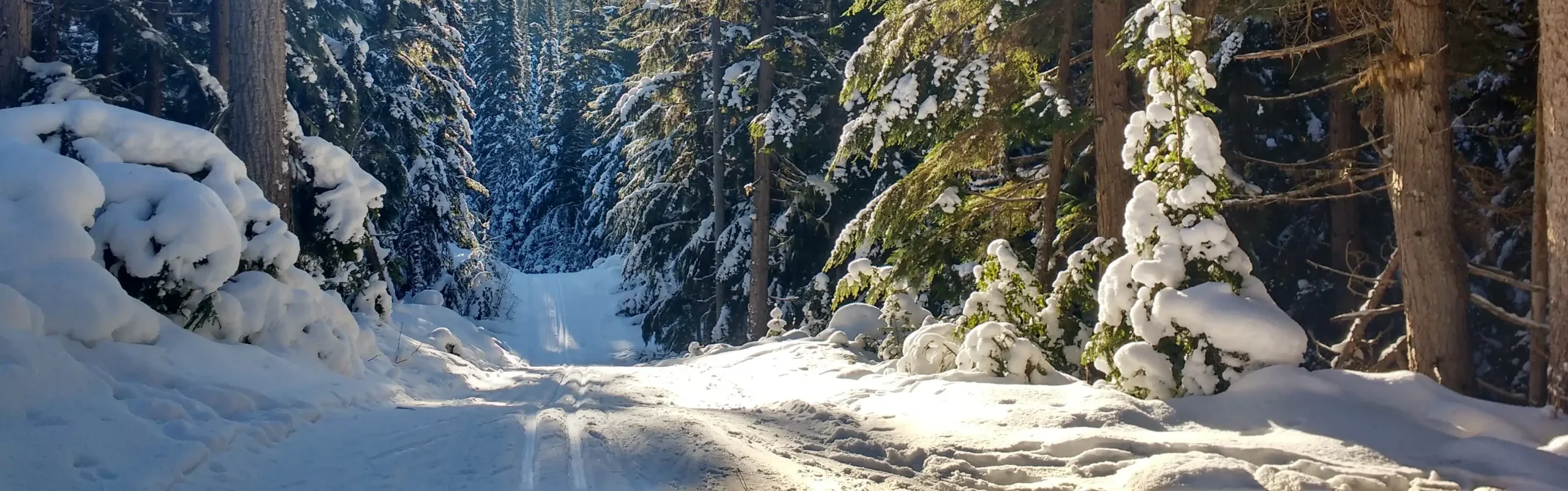 Belle Mountain Nordic Ski Trails