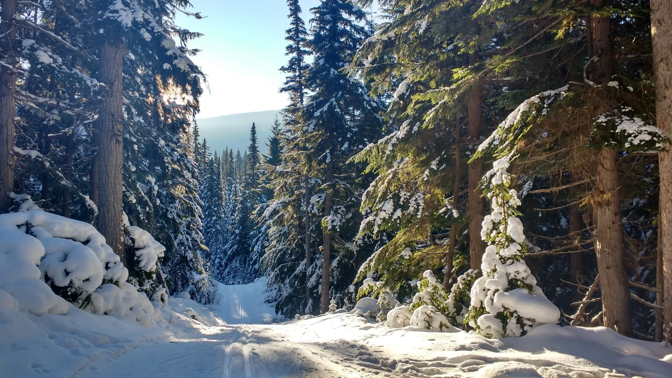 Belle Mountain Nordic Ski Trails copy