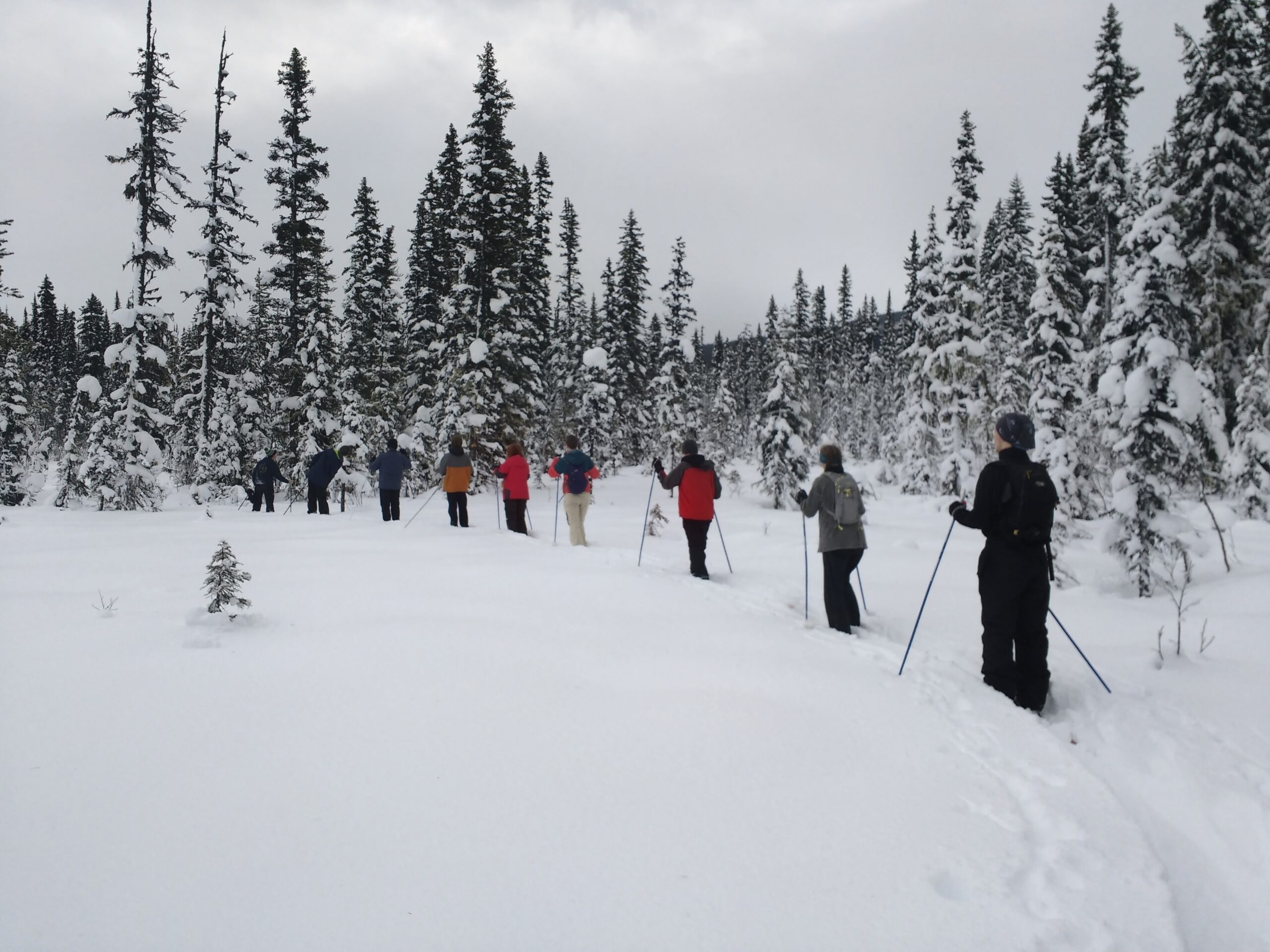 Belle mountain ski trails