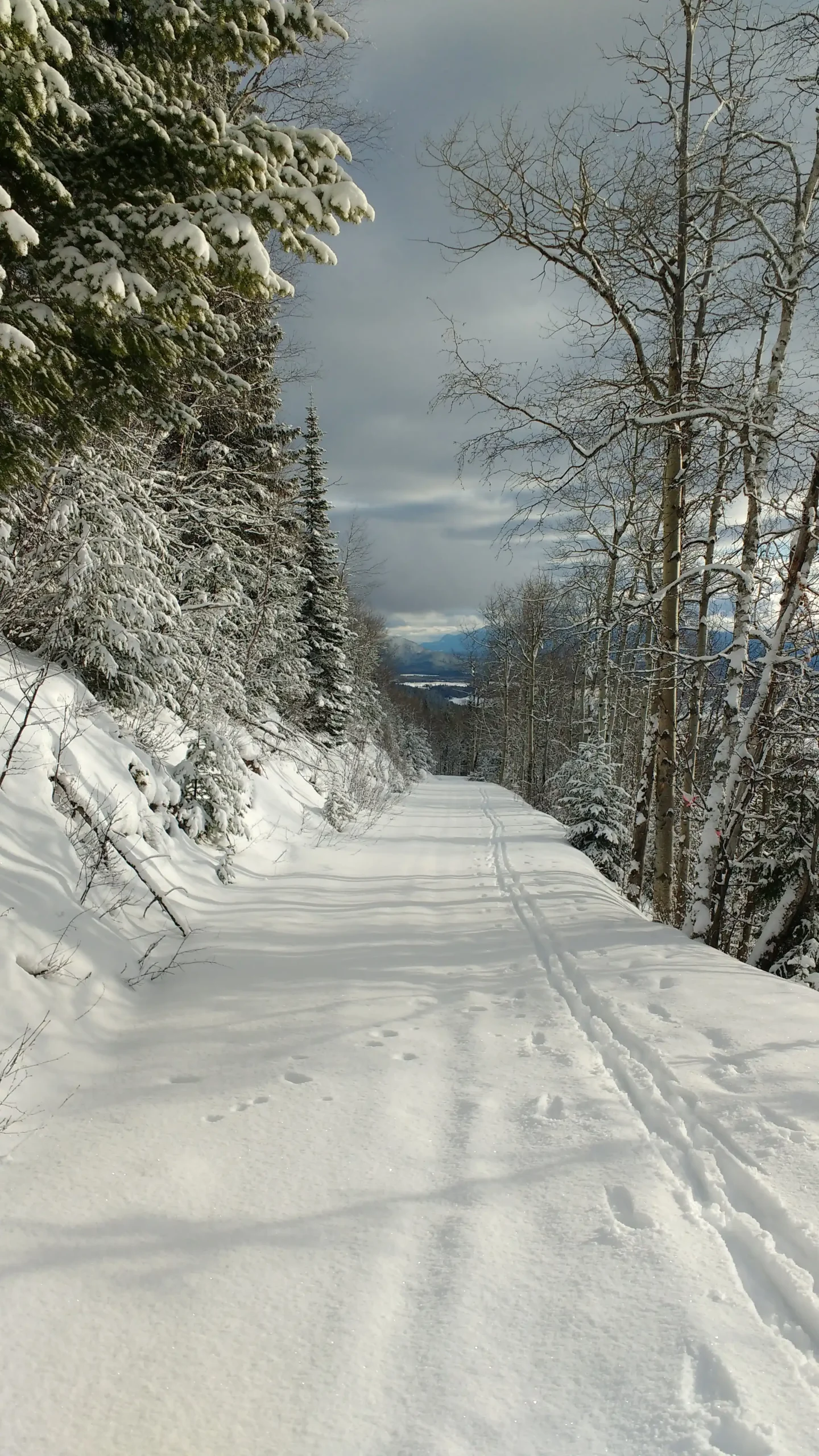 Cross Country Skiing at McBride Mountain Trails