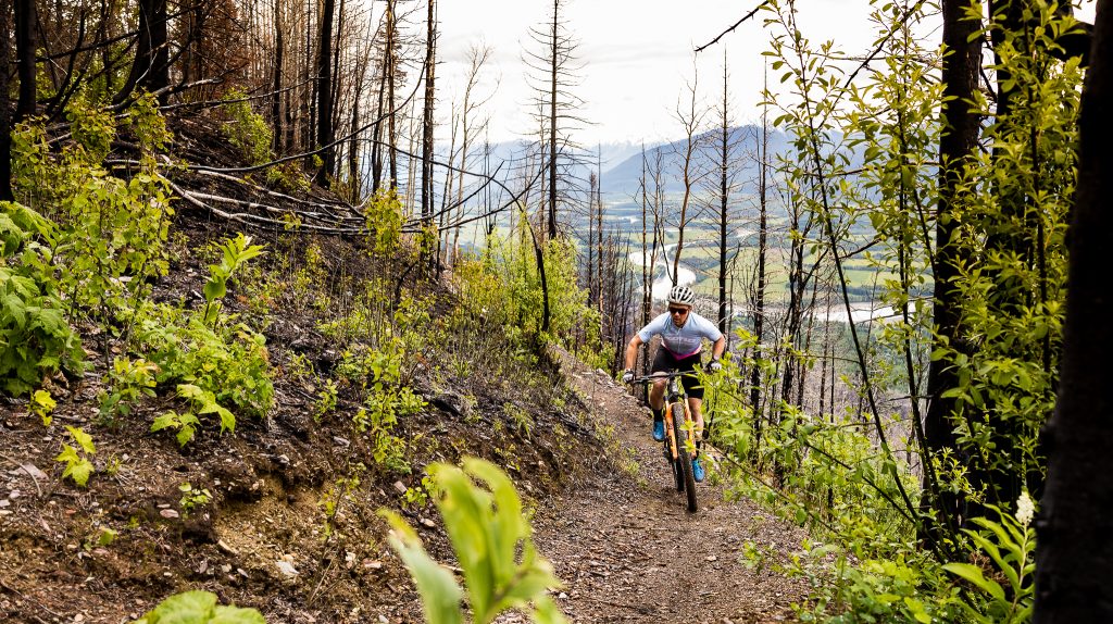 Mountain Biking