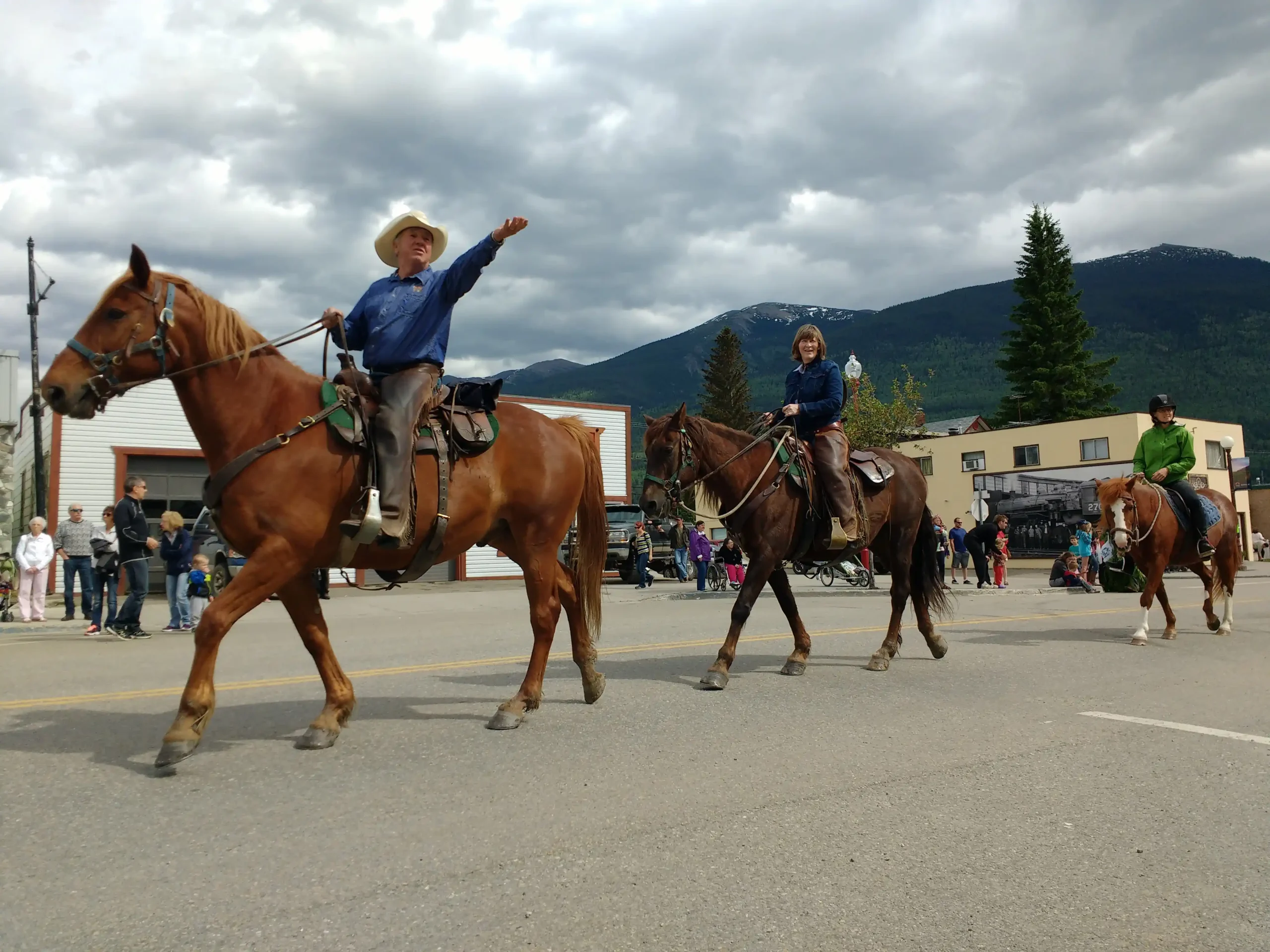 Horses Pioneer Days