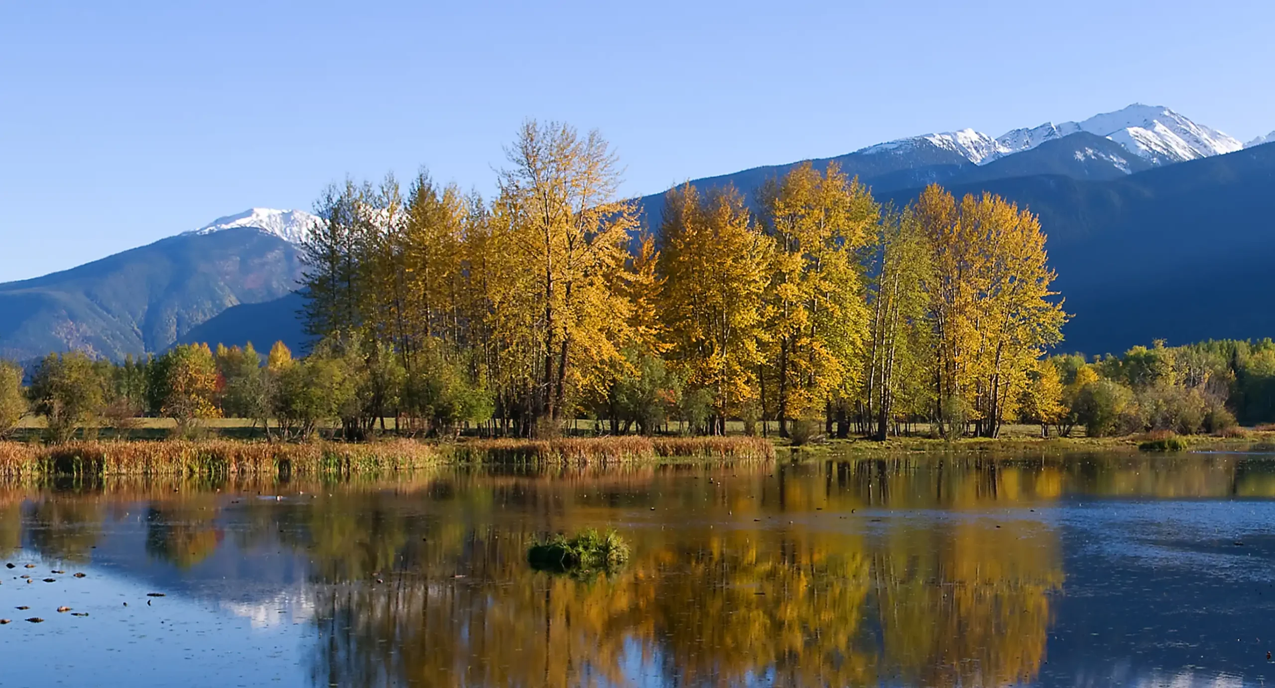 Horseshoe Lake McBride