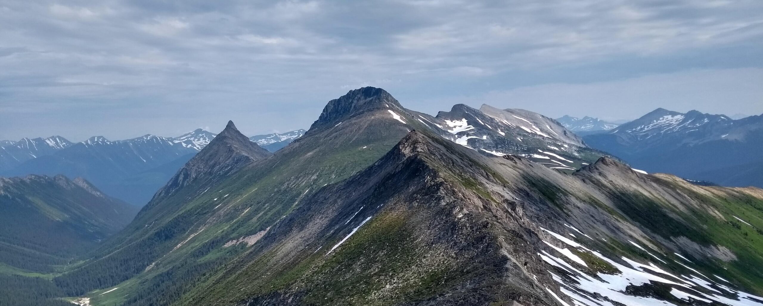 IMG_20200802_104138879_HDR