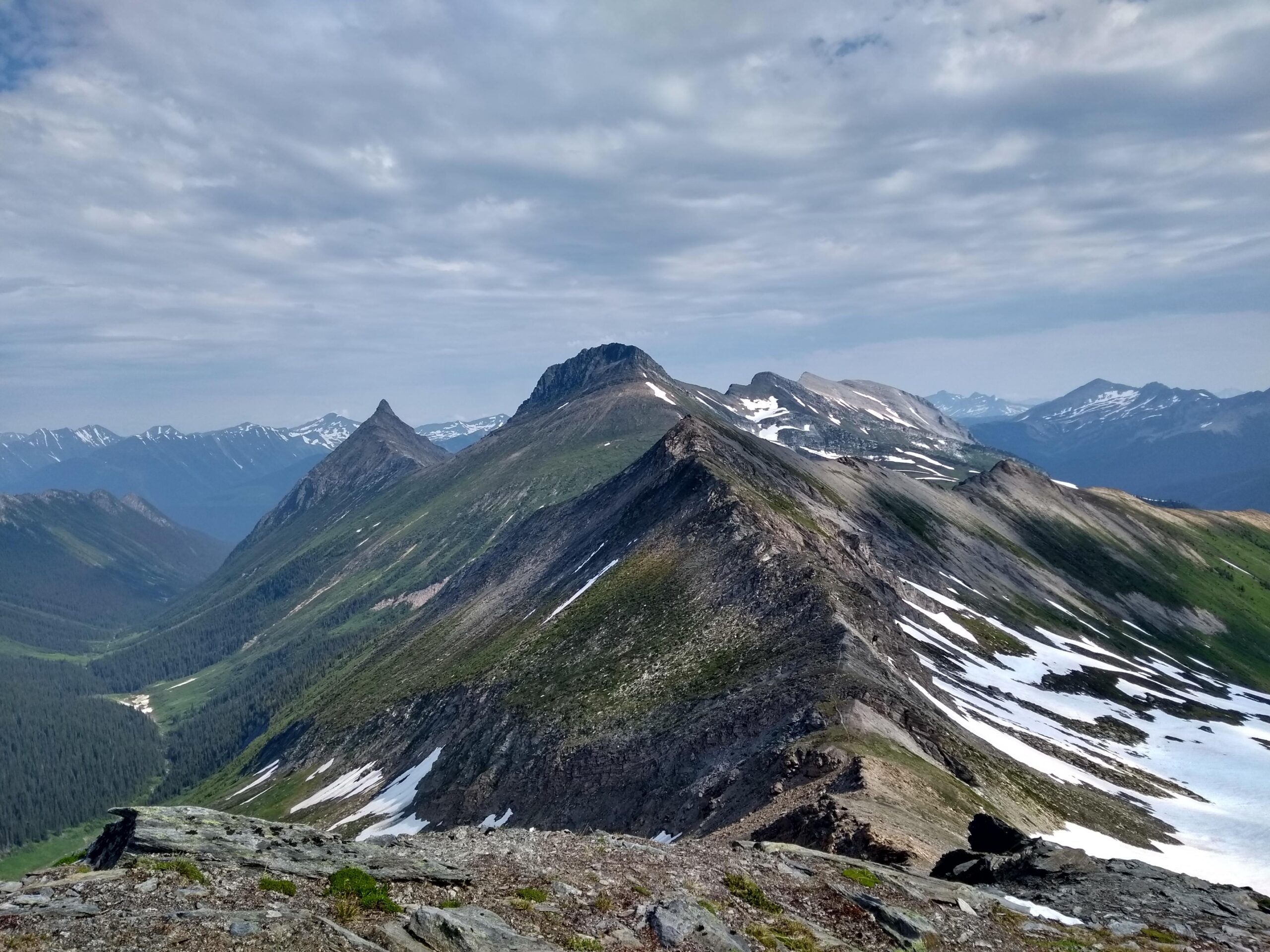 IMG_20200802_104138879_HDR