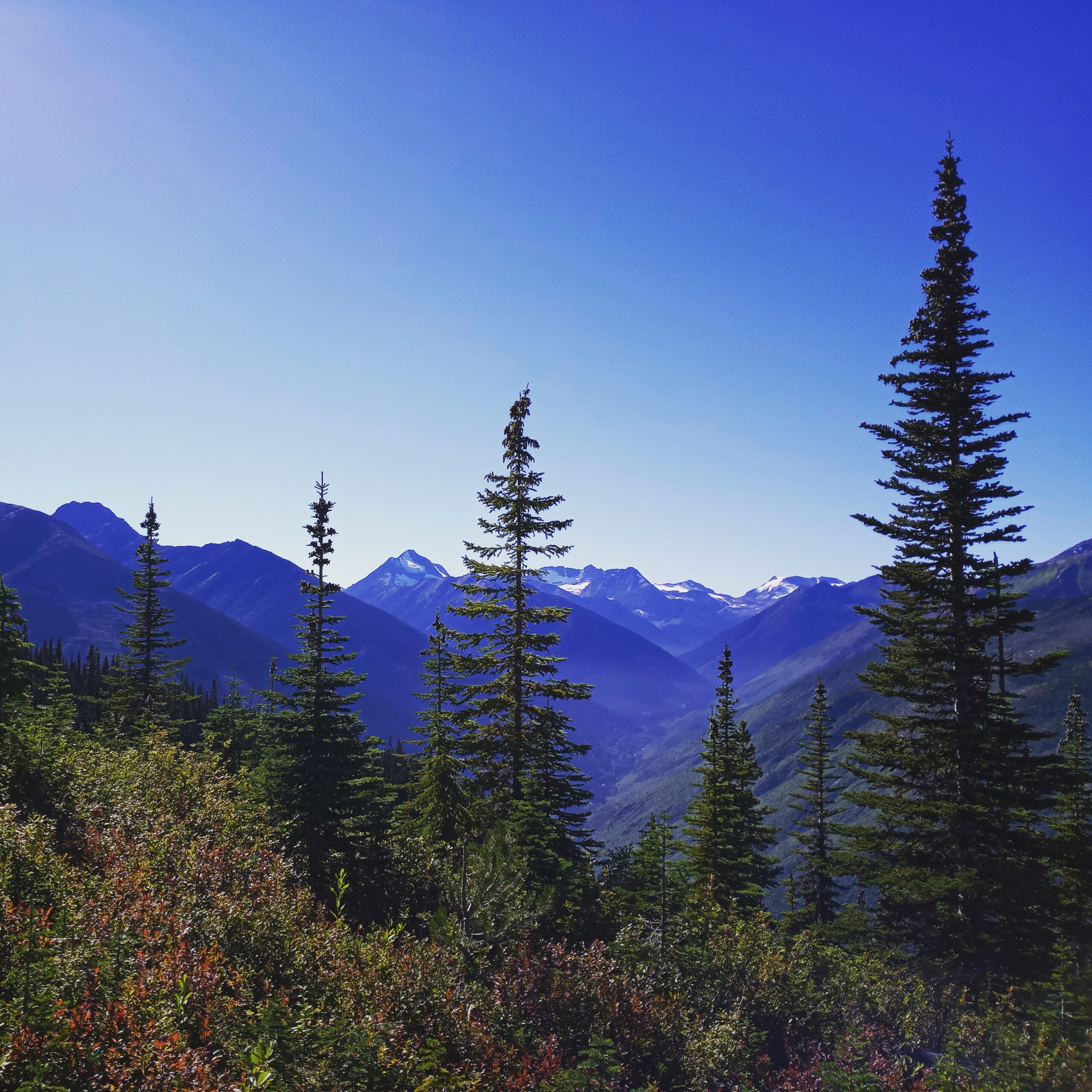 IMG_20220910_180238_588