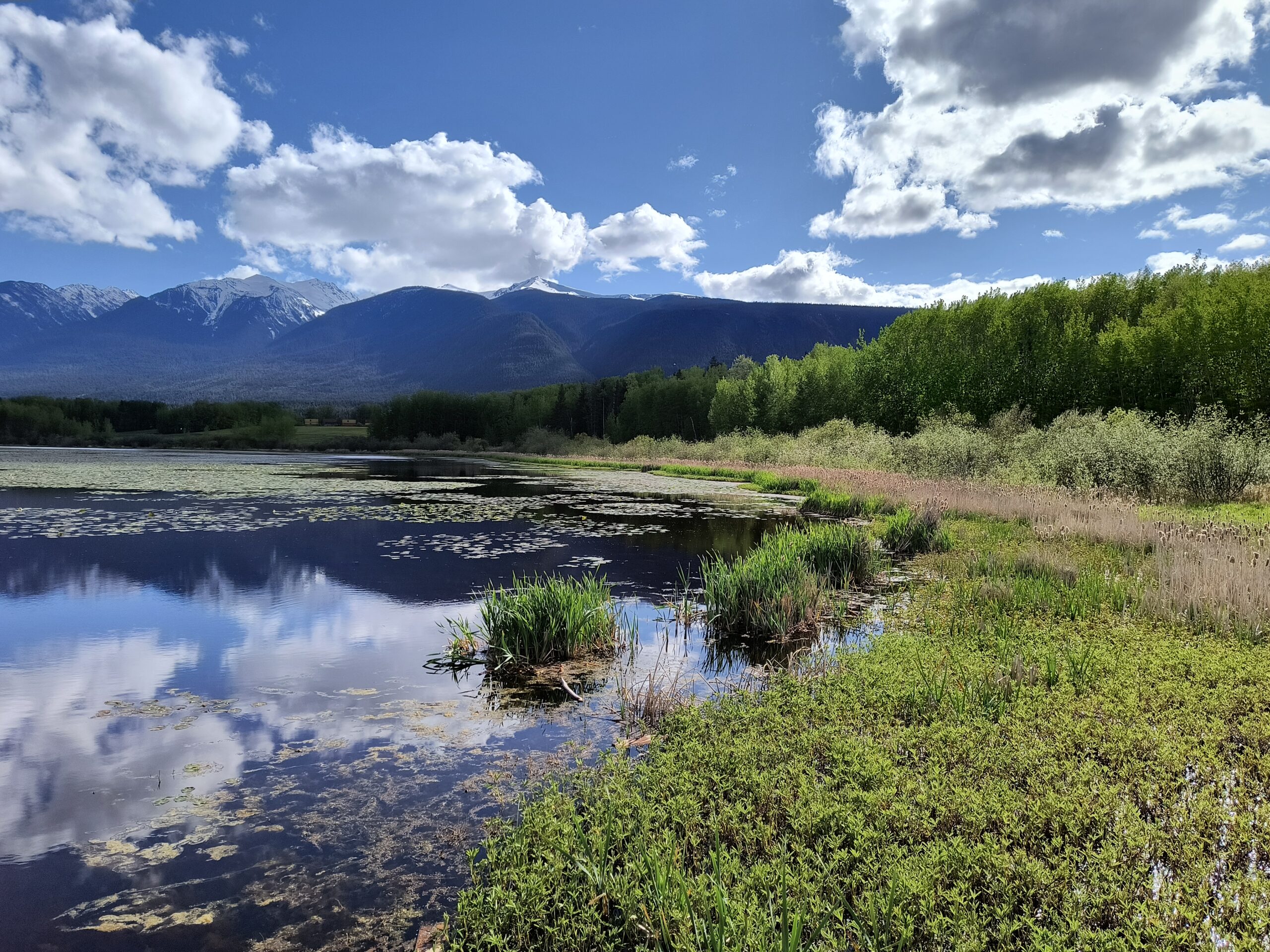 IMG_20250521_171053961_HDR