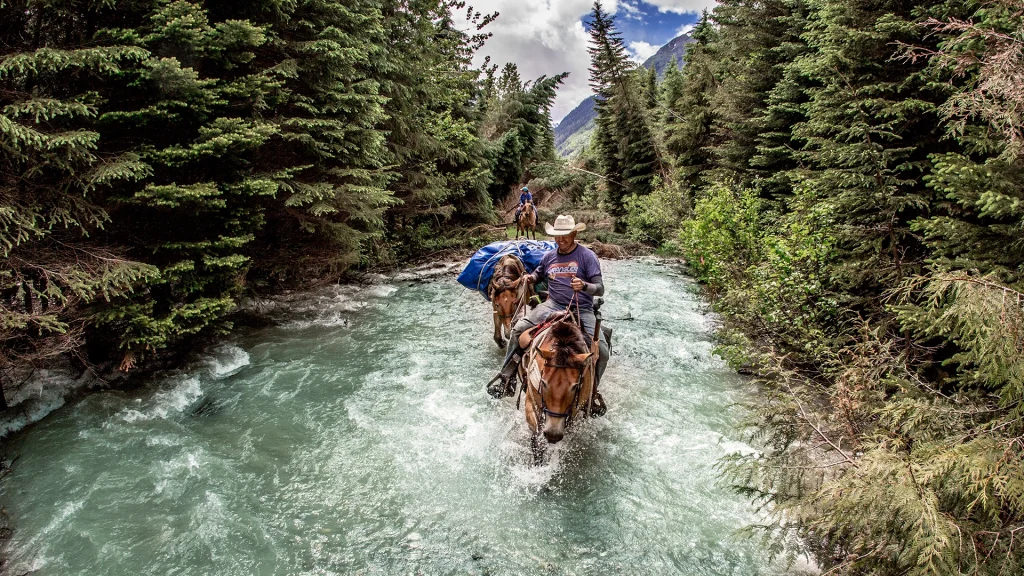 Horseback Riding