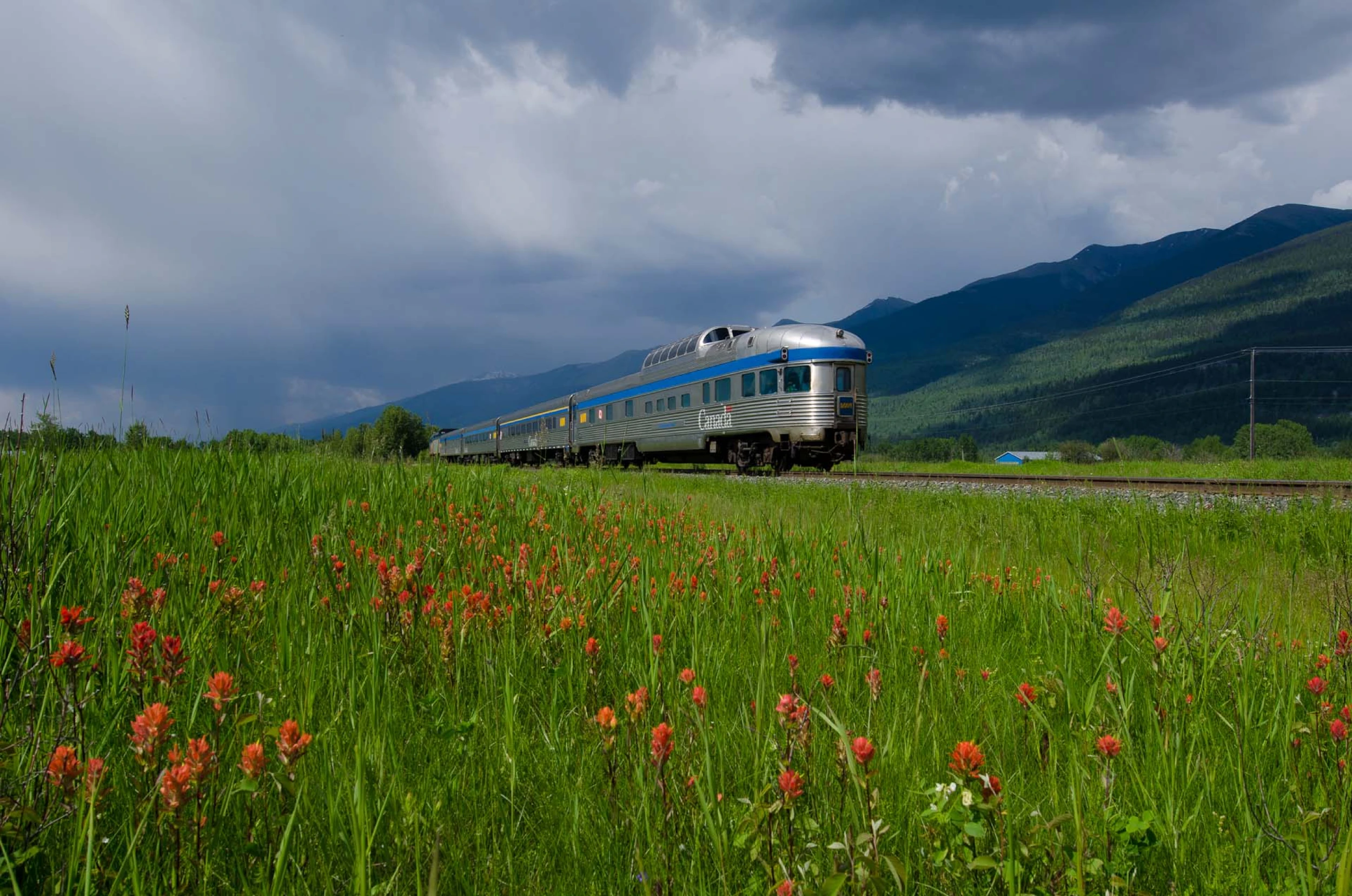 train-on-field