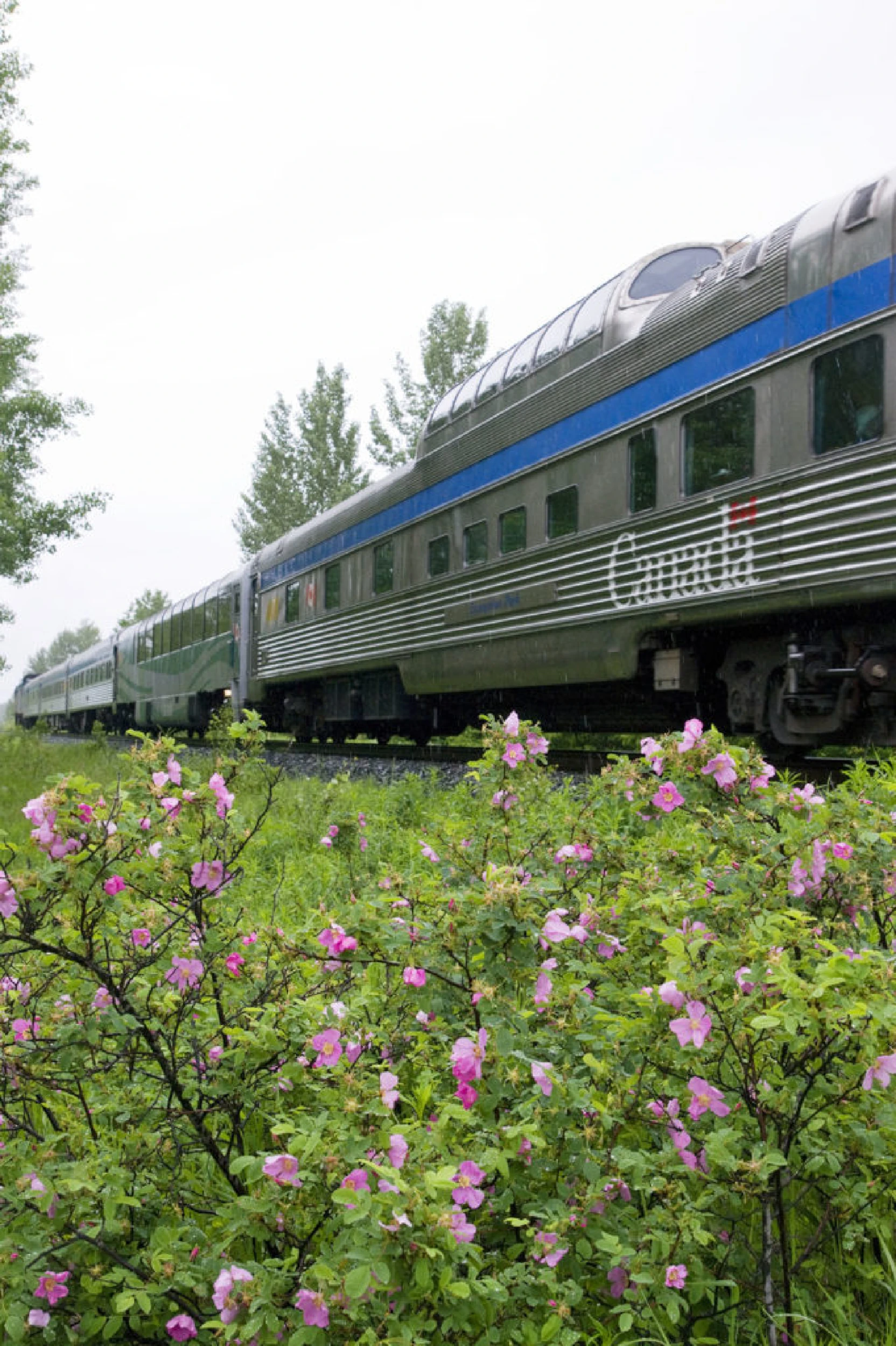 train-side